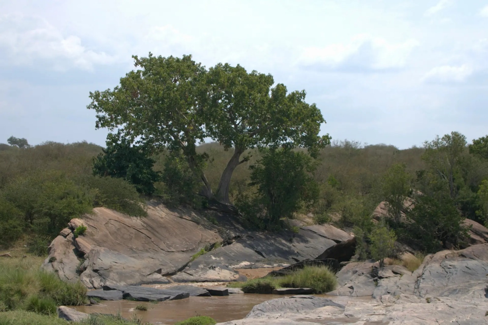 Matira Bushcamp - Photo Gallery