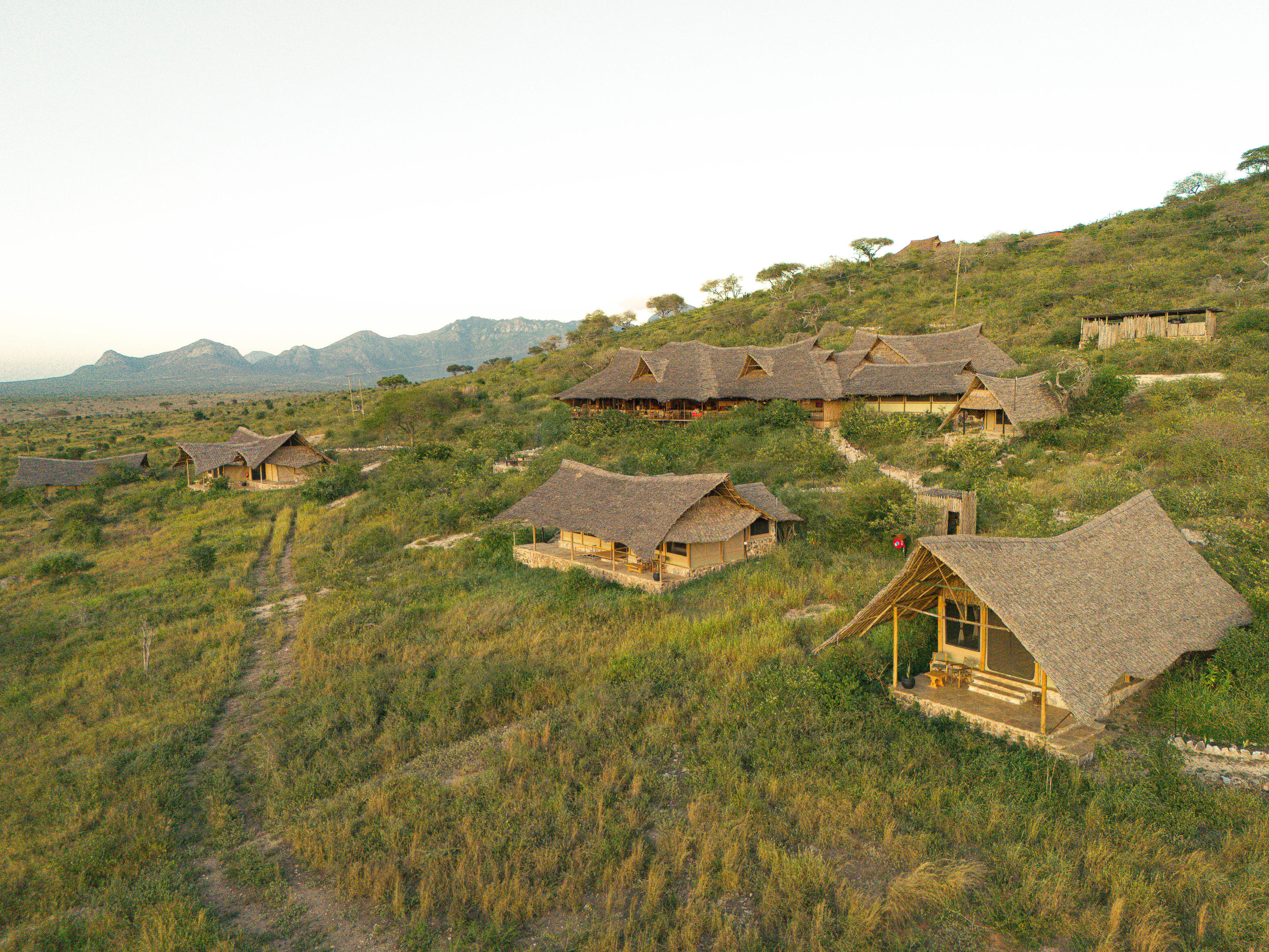 Soroi Cheetah Tented Camp - Photo Gallery