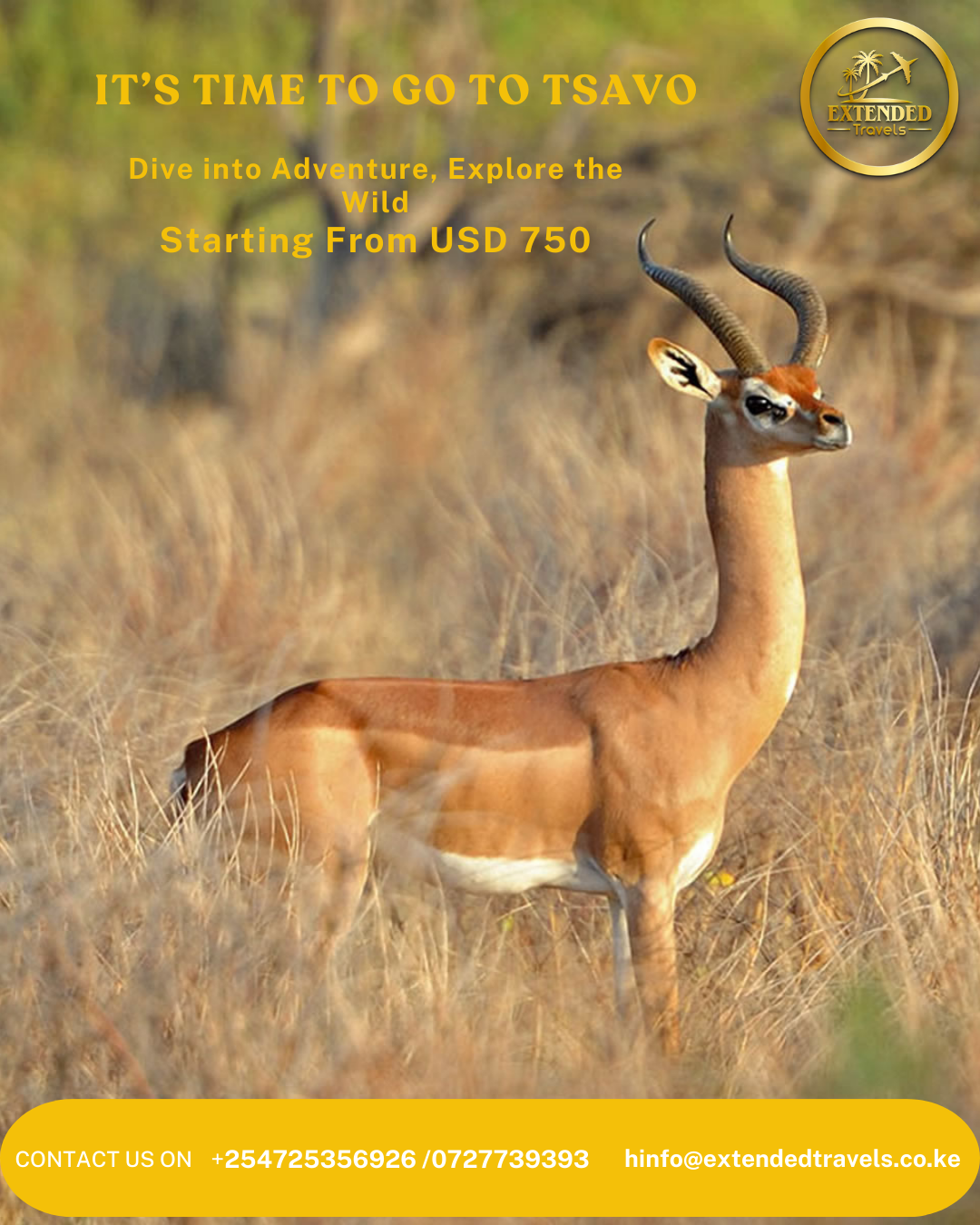 Experience the untamed beauty of Tsavo