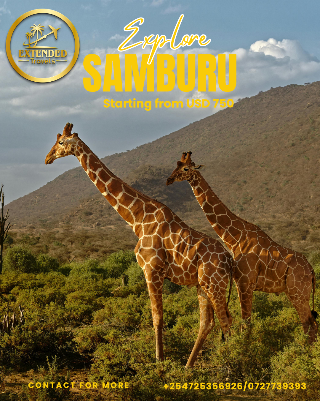 Experience Samburu, where wild meets timeless culture