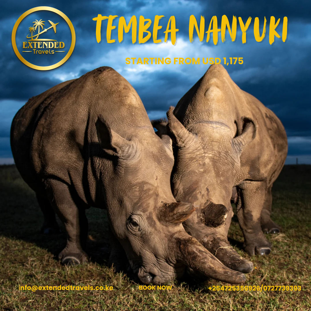 Nanyuki, getaway to Mount Kenya