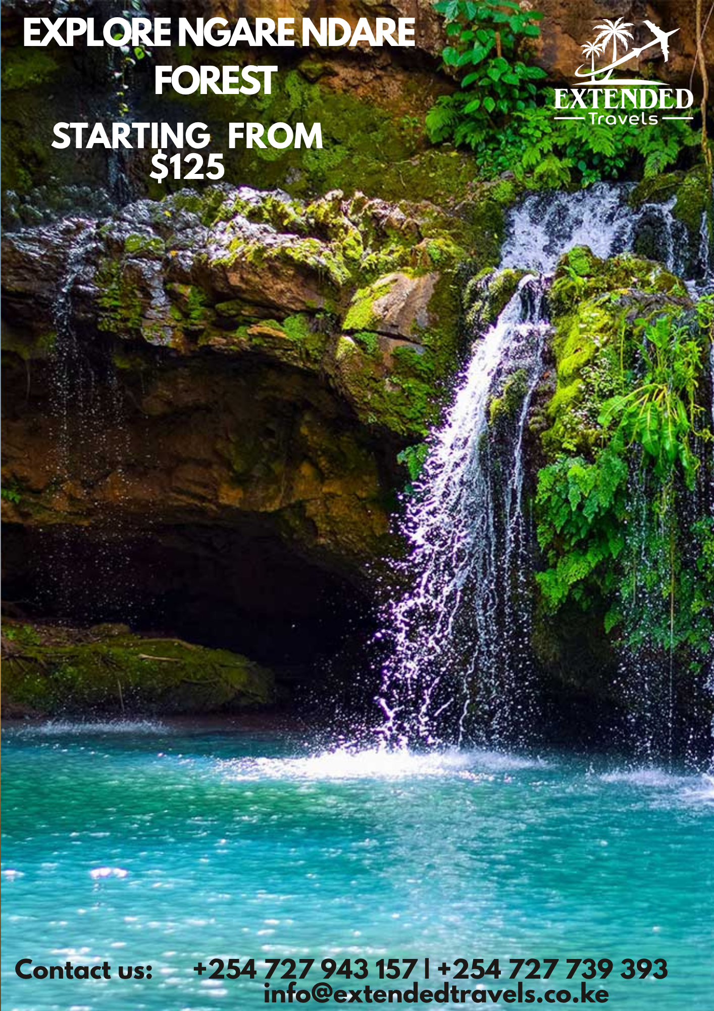 Explore Ngare Ndare Forest 