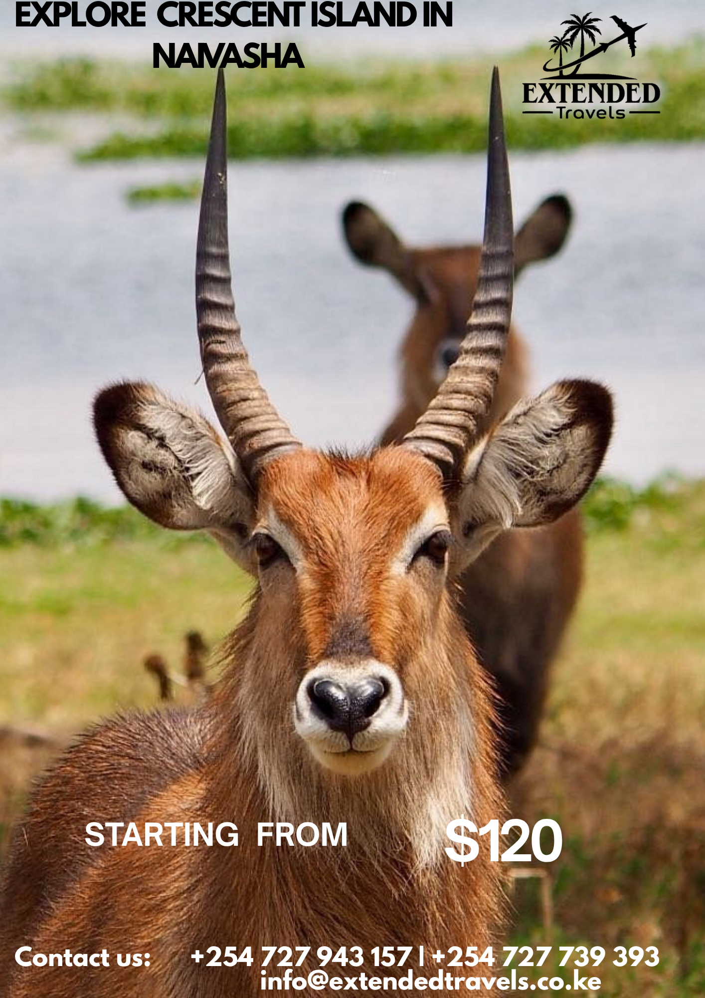 Explore Crescent Island in Naivasha 