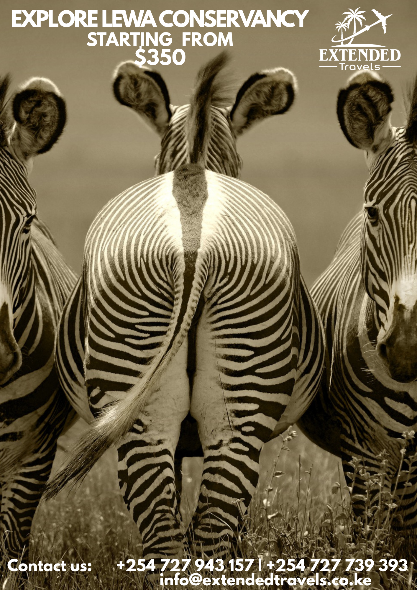 Explore Lewa Wildlife Conservancy 