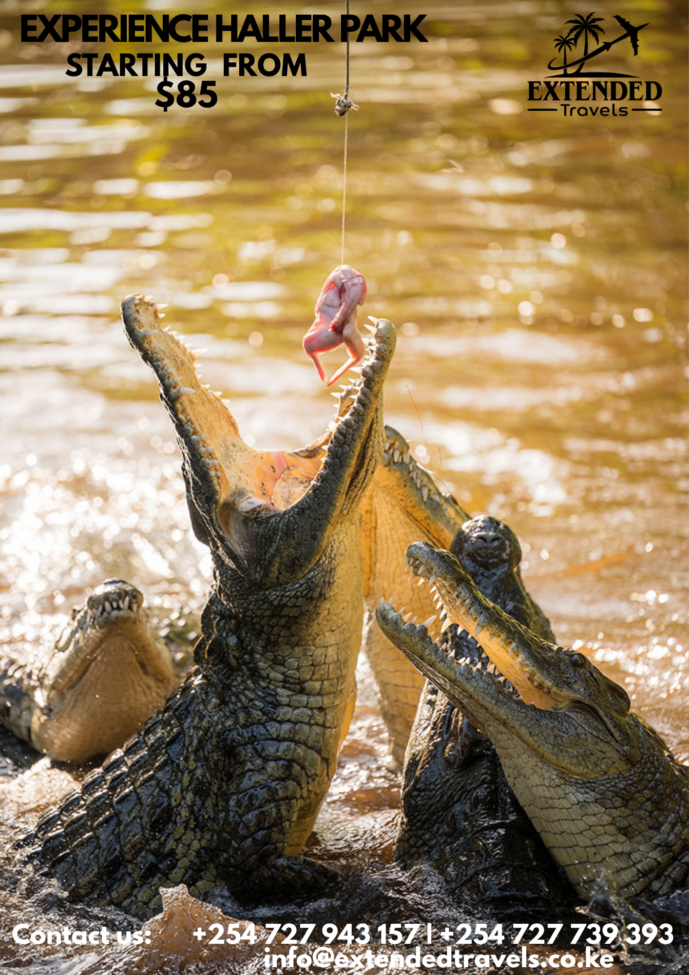Experience Haller Park in Mombasa 