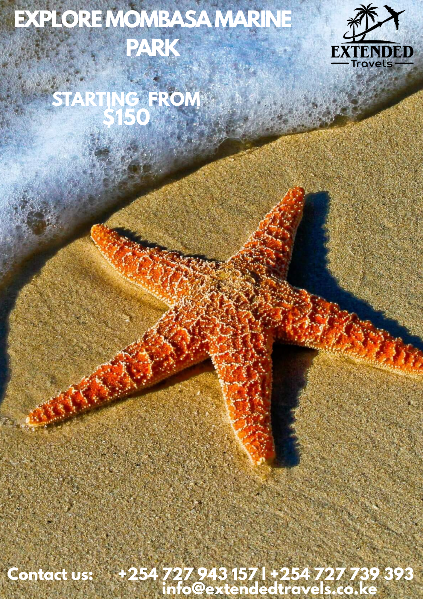 Explore Mombasa Marine Park