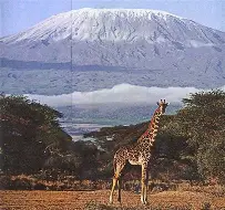 OIP (11)